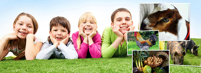 a group of children laying in the grass