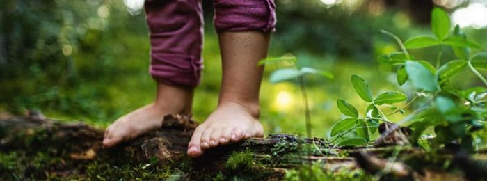 child's feet on a log in the forest