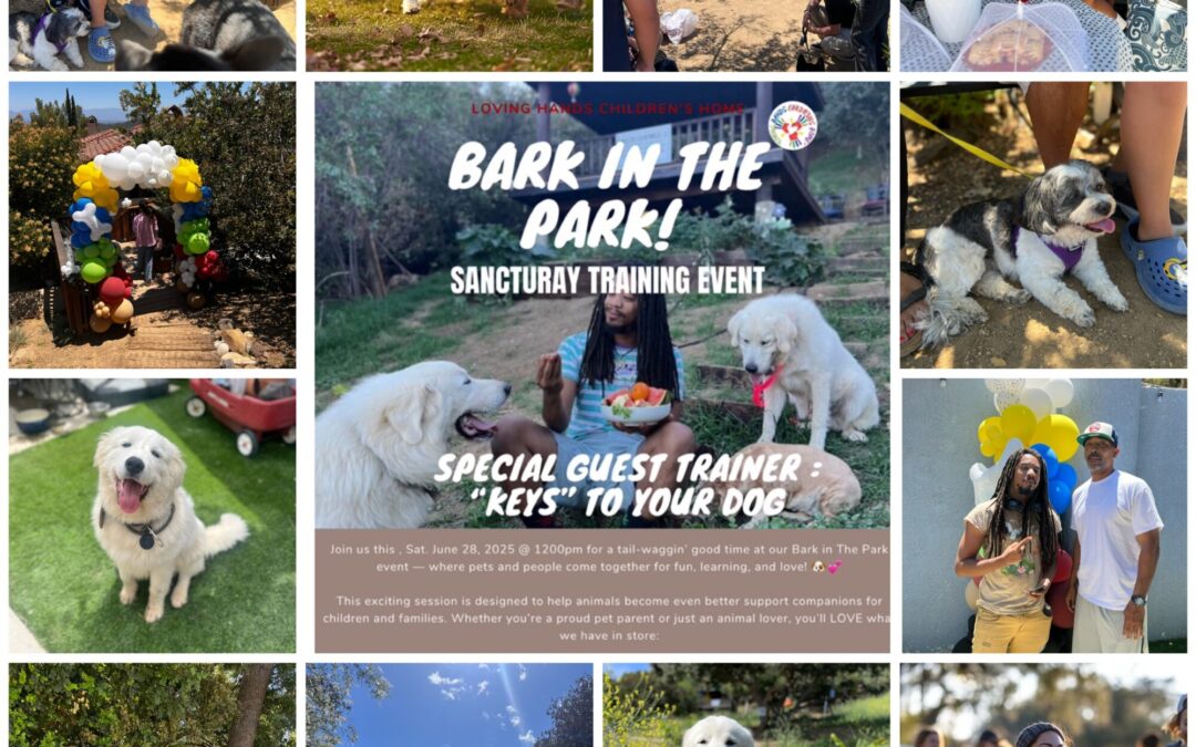 Bark in the Park at the LHCH Sanctuary Space 🐶