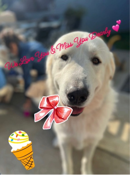 Ice Cream Social In Honor Of A Hero!🍨